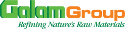 GalamGroup_slogen_Logo