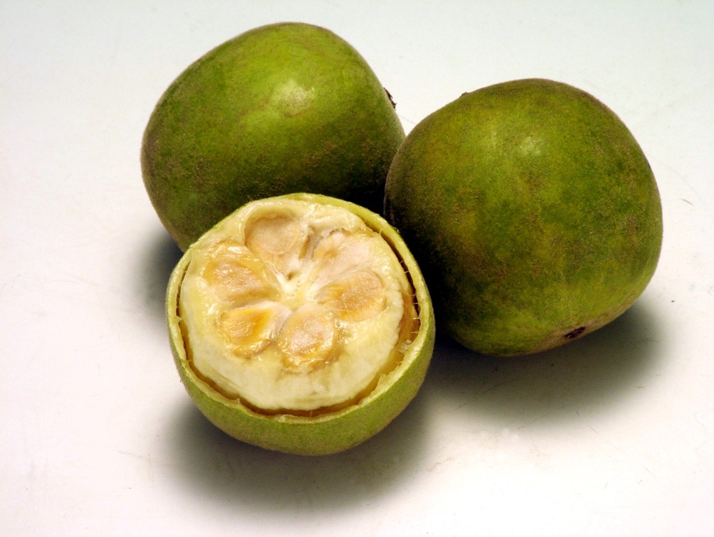 monk_fruit