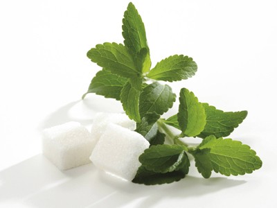 sucre-vs-stevia