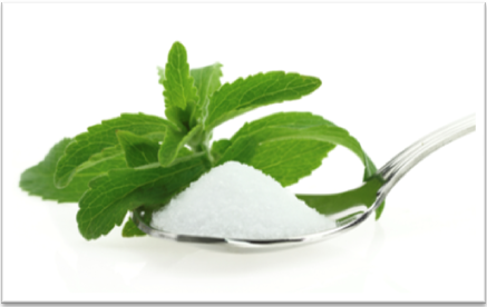 Stevia2015