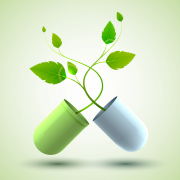 Stevia Tasteful 2022: Stevia & Your Health